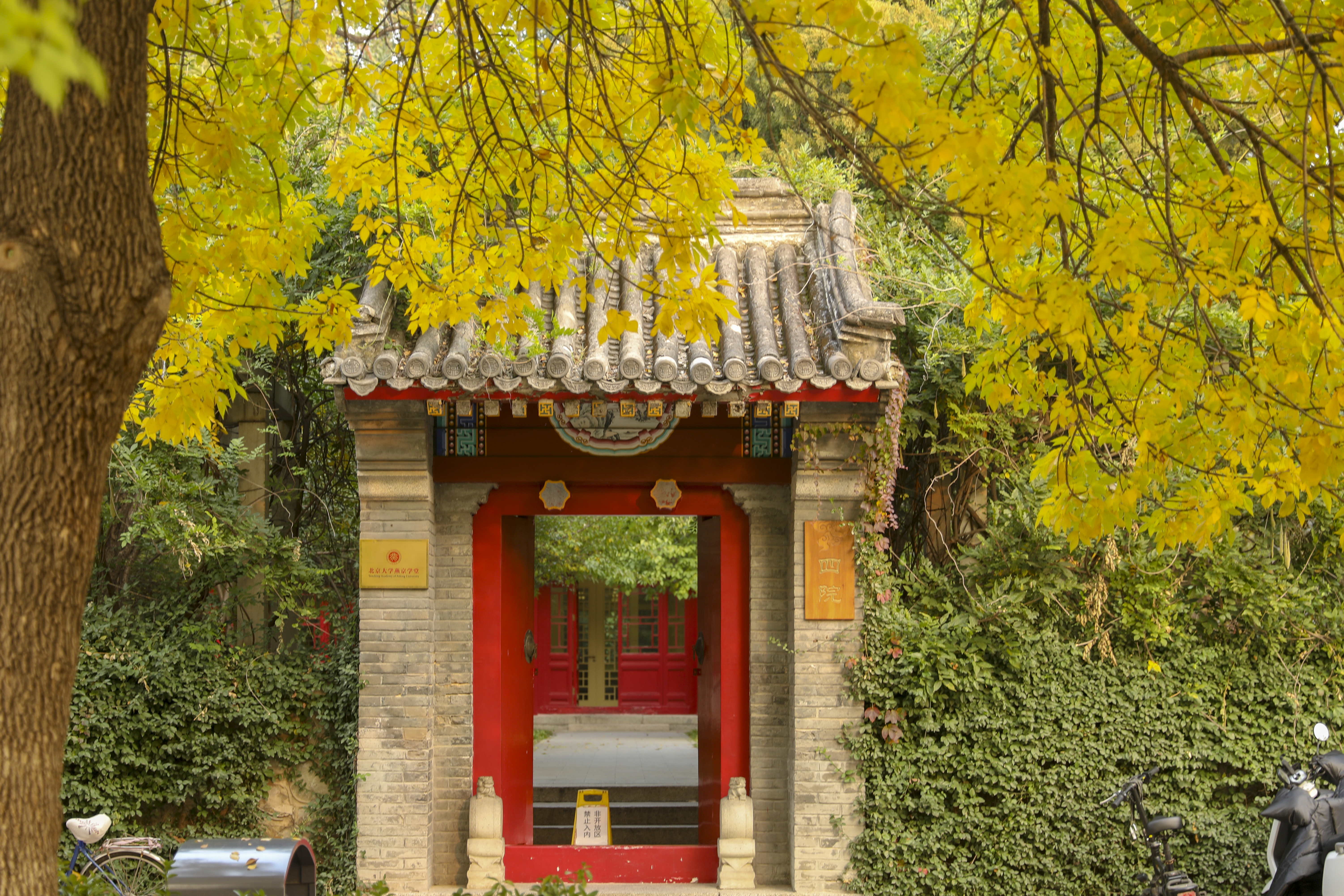北京大学燕京学堂2020年硕士研究生招生说明(仅限大陆学生)