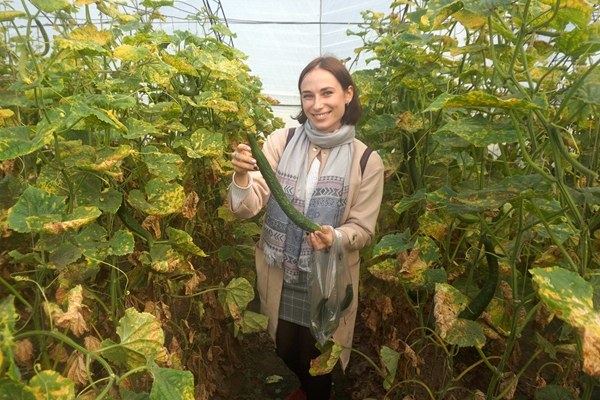 DSC02795_副本.jpg DSC02795_副本.jpg