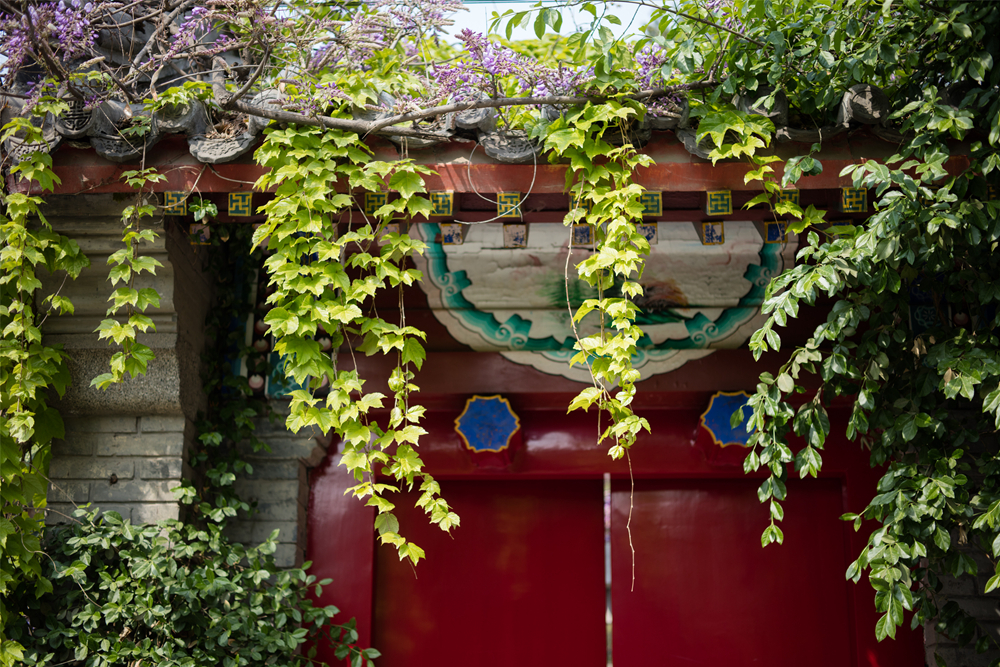 1560493905249067.jpg 211172749019586205_副本.jpg