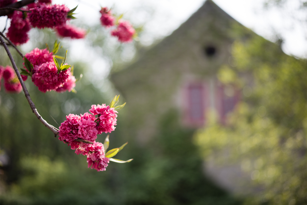 1560493896804522.jpg 222151314767037281_副本.jpg