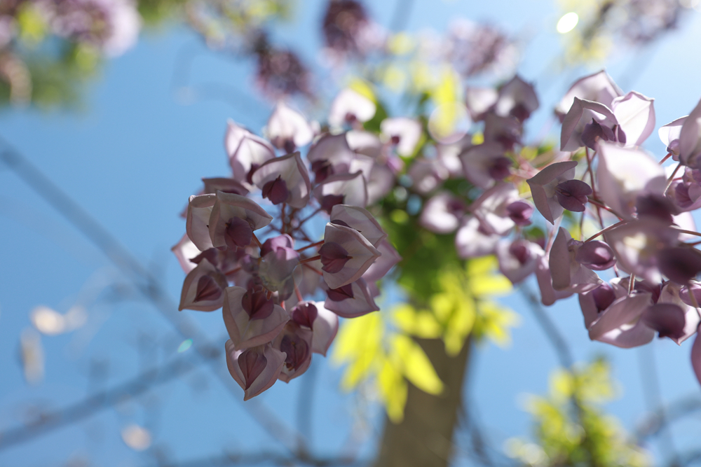 1560493917489185.jpg 微信图片_20190426100731_副本.jpg